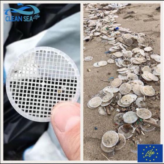 Risolto il mistero dei dischetti nel mar Tirreno Risolto il mistero dei dischetti nel mar Tirreno