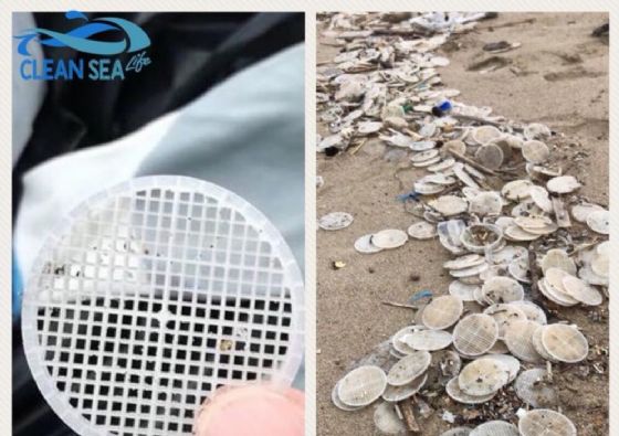 Risolto il mistero dei dischetti nel mar Tirreno Risolto il mistero dei dischetti nel mar Tirreno