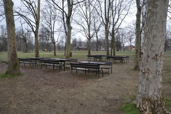 Area del Boschetto a Nichelino (TO), ripulita