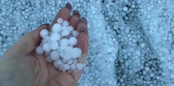 Maltempo, violenta grandinata nel Pordenonese: strade imbiancate come d'inverno