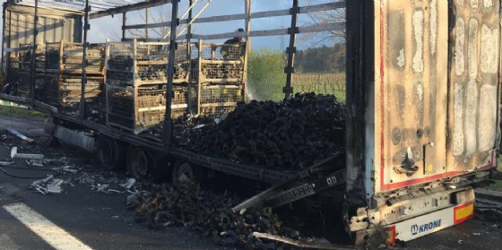 Incendio in autostrada: camion prende fuoco, autista illeso