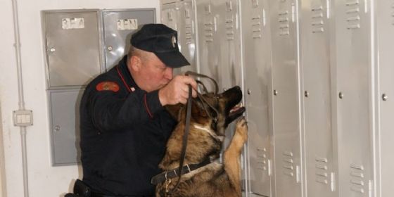 Quark, il cane dei Carabinieri