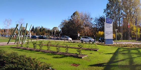 Cro Aviano: a breve l'inaugurazione di "Millepetali", lo splendido giardino delle rose