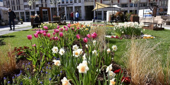 "Giardino dei sogni": ultimo settimana fitto di attivitą
