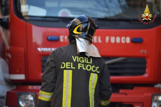 Cane rischia di annegare nel torrente Elvo, i vigili del fuoco tentato un salvataggio disperato (© Vigili del Fuoco) Cane rischia di annegare nel torrente Elvo, i vigili del fuoco tentato un salvataggio disperato (© Vigili del Fuoco)