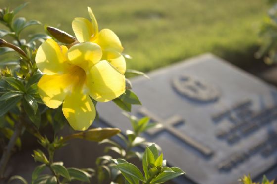 Tombe profanate nel cimitero (© Shutterstock.com) Tombe profanate nel cimitero (© Shutterstock.com)