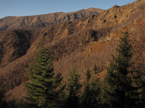 Panorama su cima della Mora e Cima di Bors