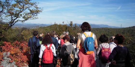 Nelle domeniche dal 5 agosto al 23 settembre passeggiate naturalistiche tra Trieste e Gorizia