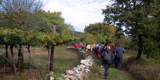 Nelle domeniche dal 5 agosto al 23 settembre passeggiate naturalistiche tra Trieste e Gorizia