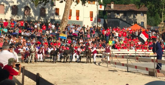 Corsa degli asini: a Fagagna vince ancora Beppina