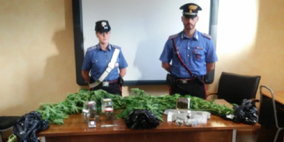 In casa aveva una serra di marijuana: in manette un 23enne