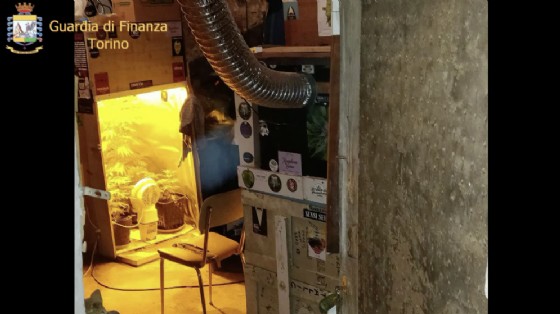 Coltivava la marijuana con la musica, arrestato