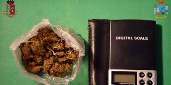 Gorizia, sequestrati stupefacenti e sgominato giro di droga al Parco della Rimembranza