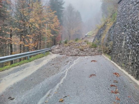 Alberi caduti e frane: il Friuli nella morsa del maltempo