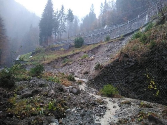 Alberi caduti e frane: il Friuli nella morsa del maltempo