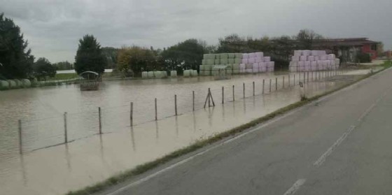 Pordenone: strade e parcheggi chiusi. La Protezione Civile monitora tutto il territorio