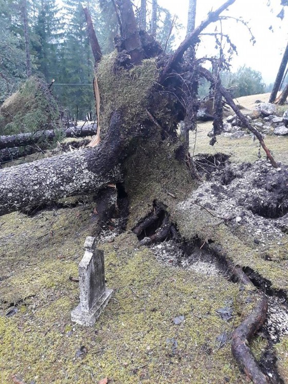 Maltempo: alberi cadono sul cimitero degli Eroi a Valbruna