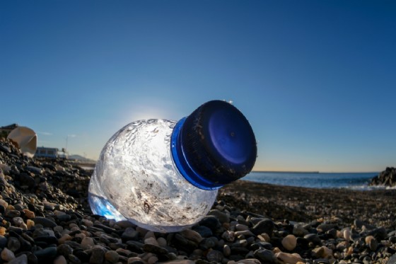 Micro-plastiche nel cibo. L'esperimento delle capesante