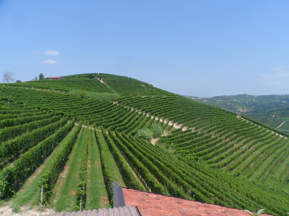 Vigna Cerretta, Barolo cru di Germano Ettore