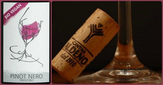 Il primo vino italiano certificato vegano proviene dal Trentino