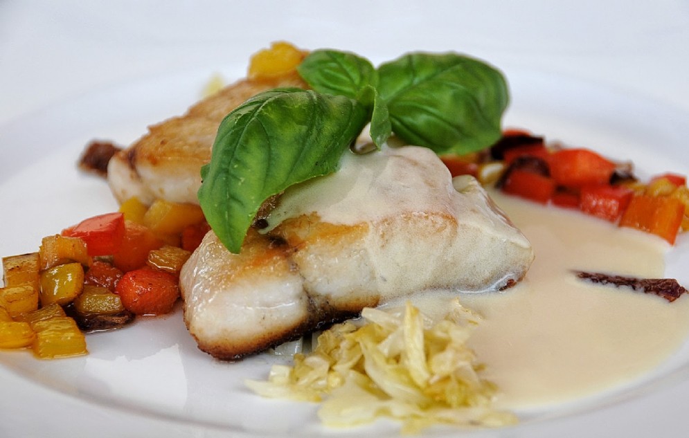 Trancio di ombrina con ratatouille, verza all'aceto e salsa al Vermentino