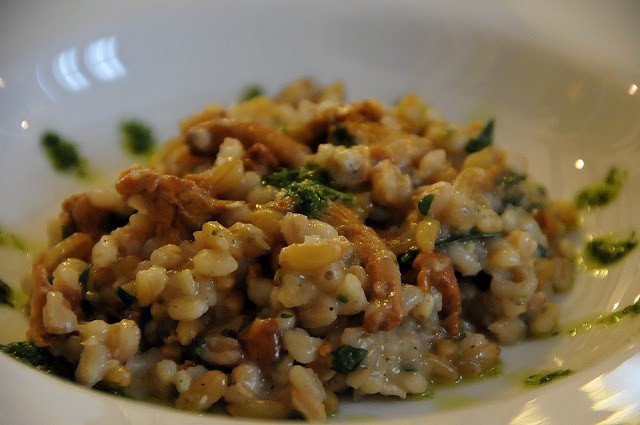 Quattro cereali con finferli e salsa di prezzemolo