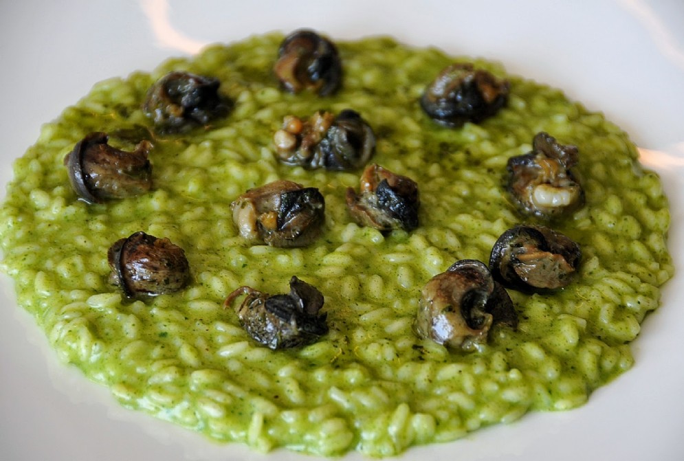 Risotto alle erbe e spinacino con lumache di Cherasco
