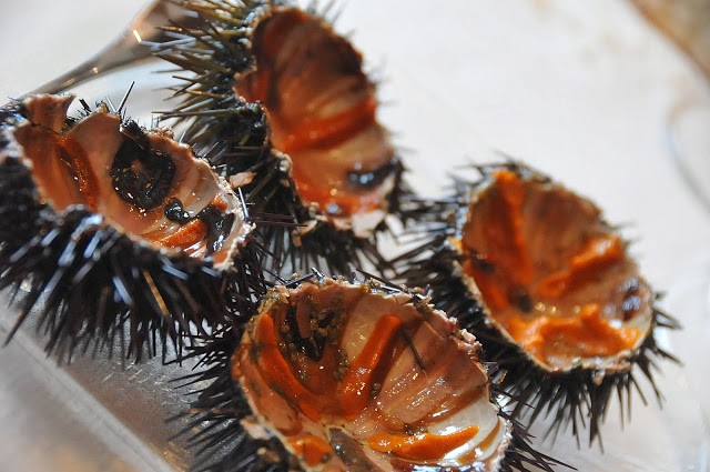 Ricci di mare appena aperti