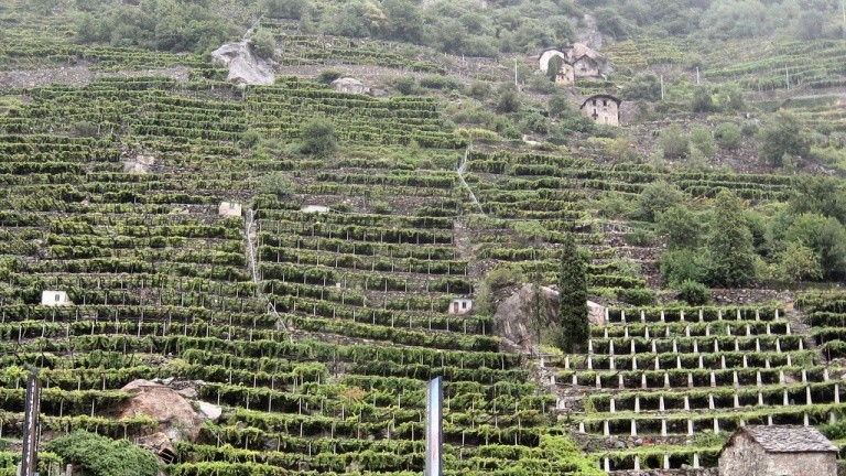 Vista d'insieme dei terrazzamenti