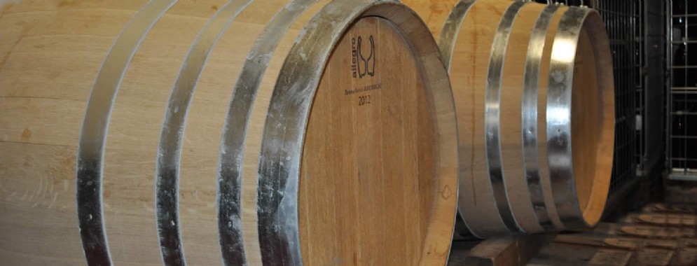 In cantina da Ferrando a Ivrea