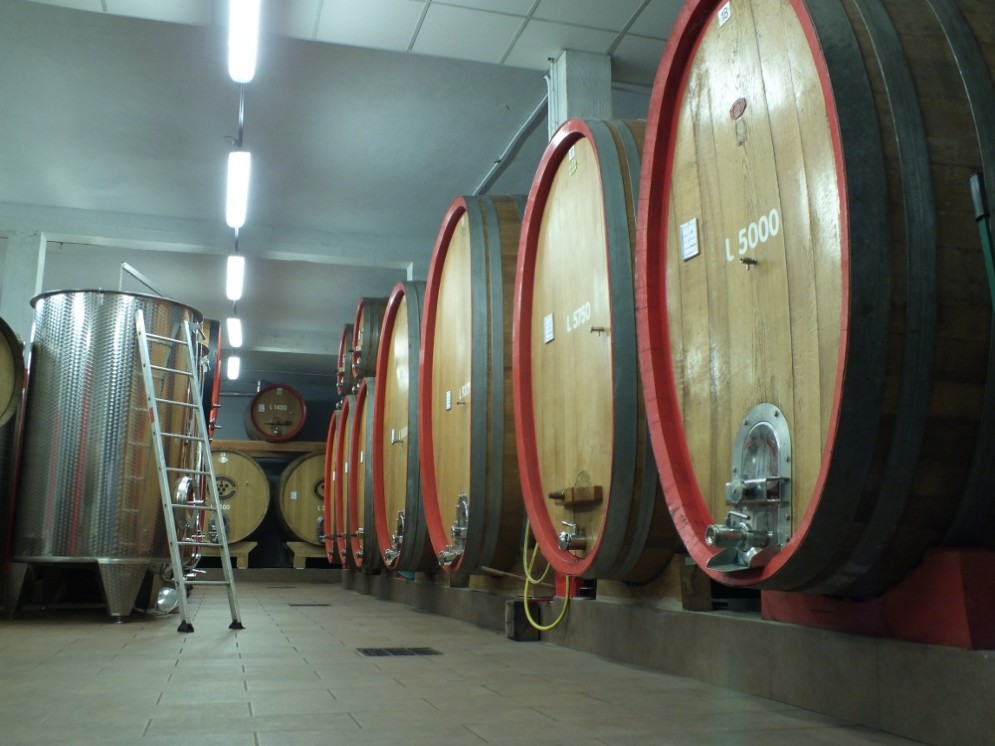In cantina alla Cooperativa dei Produttori di Nebbiolo di Carema