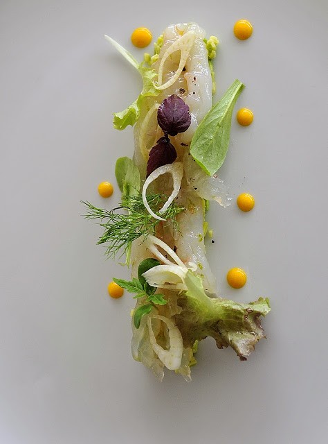 Crudo di scampi su tartare di zuccine trombette al basilico, finocchio e pepe sechuan, punti di salsa al mango