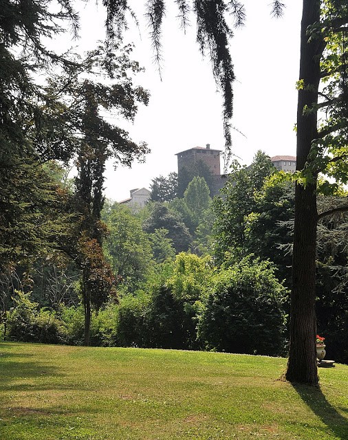 Il bosco che degrada dal Castello di Roppolo