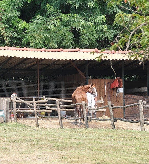 Il maneggio