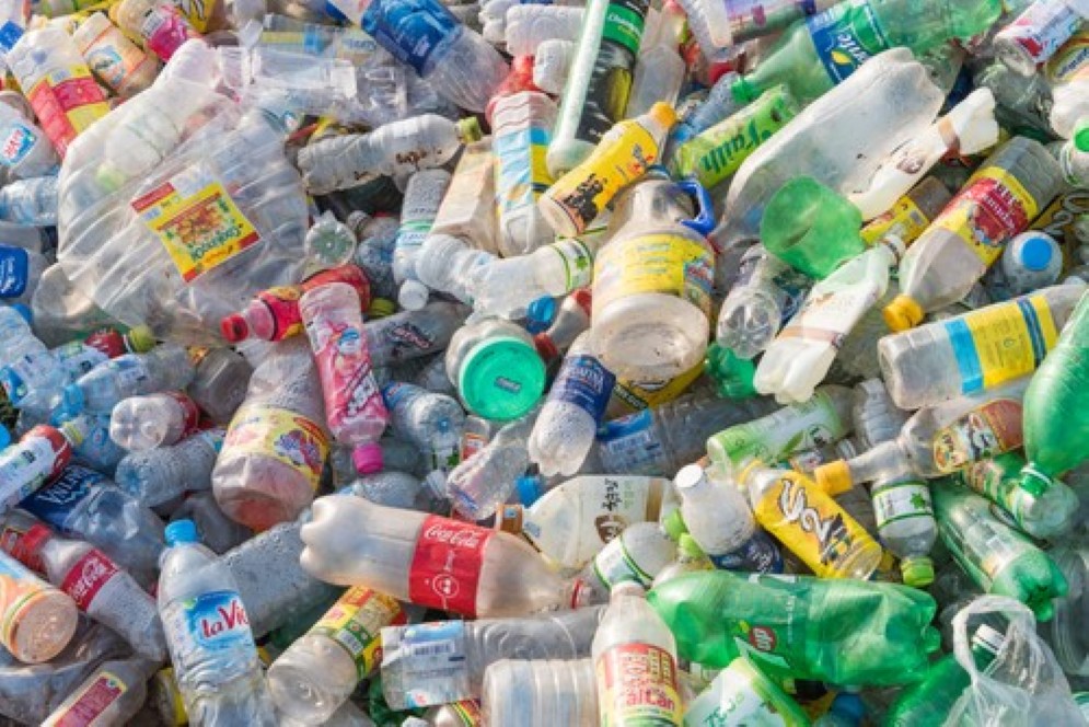 Il batterio distrugge la plastica