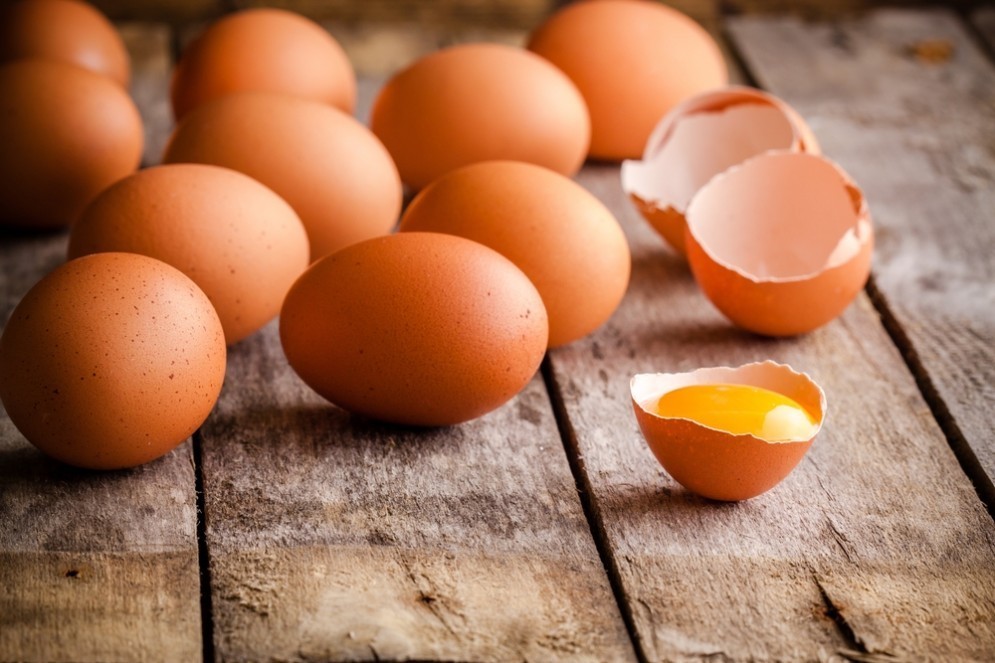 Uova per le plastiche bio