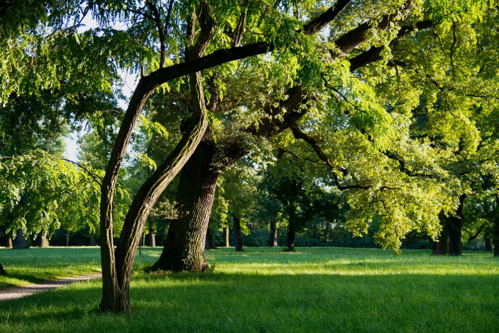 Un parco romano.