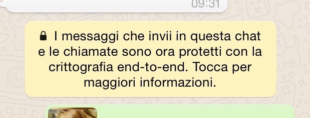 Ciò che appare nella prima chat