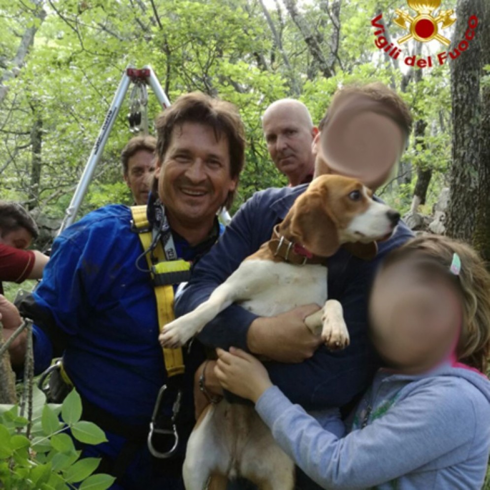 Il cane salvato dai Vigili del Fuoco