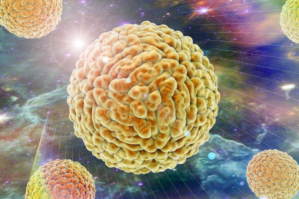 Zika virus, si può anche annidare nella vagina e trasmettersi per via sessuale