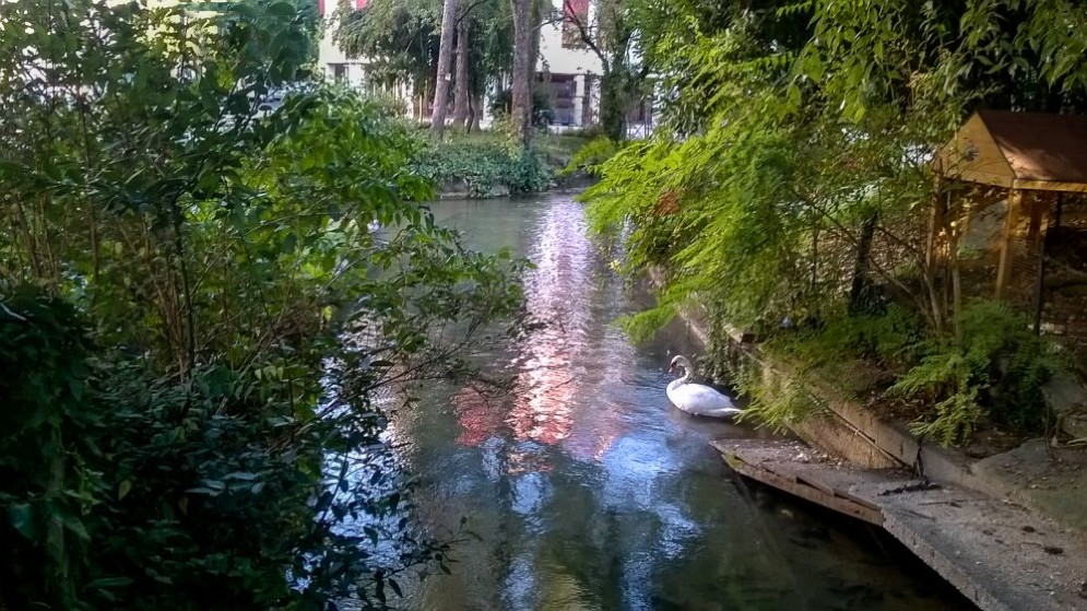 Giardini Ricasoli