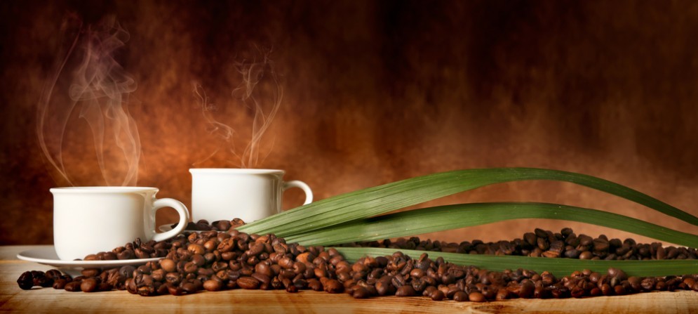 Il festival del caffè a Trieste