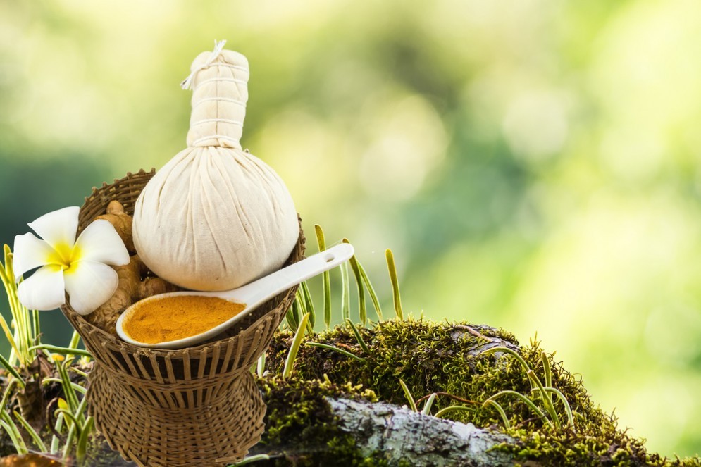Giornata mondiale dell'ayurveda