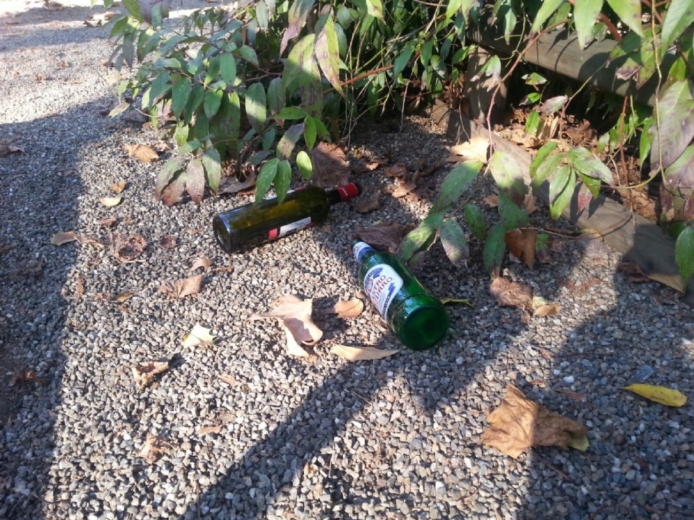 Due delle diverse bottiglie di birra e di vino abbandonate