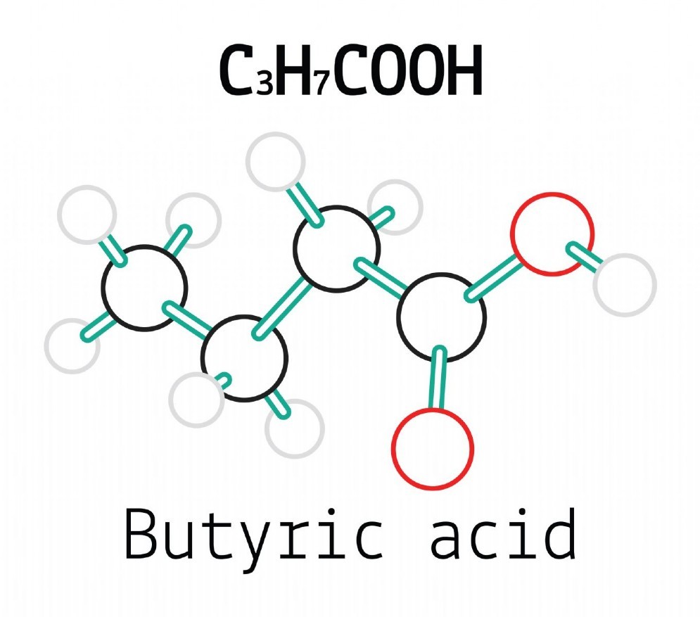 Acido butirrico