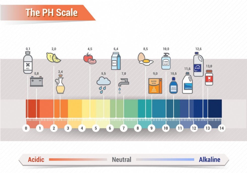 Il grado di pH di alimenti e sostanze di uso comune