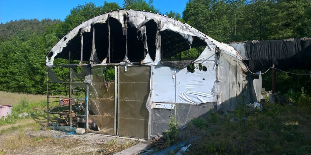 Incendio a Cergneu inferiore, nel Comune di Nimis: in cenere la copertura di una serra