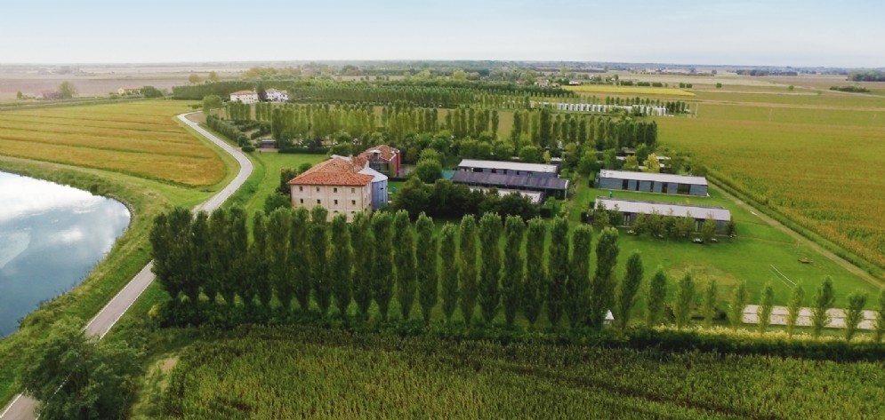 H-Farm