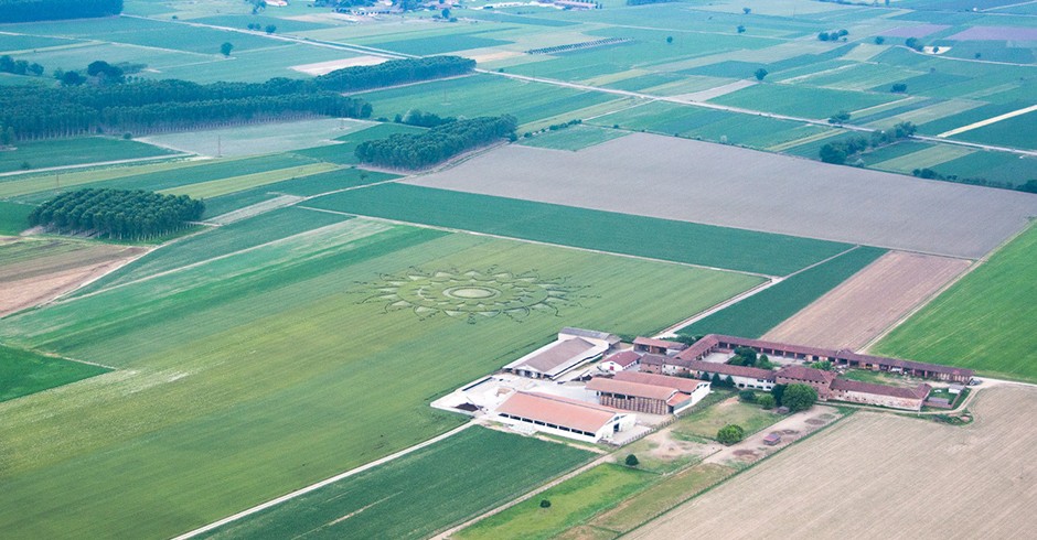 Disegno apparso a Scalenghe nella notte tra il 27 e il 28 maggio