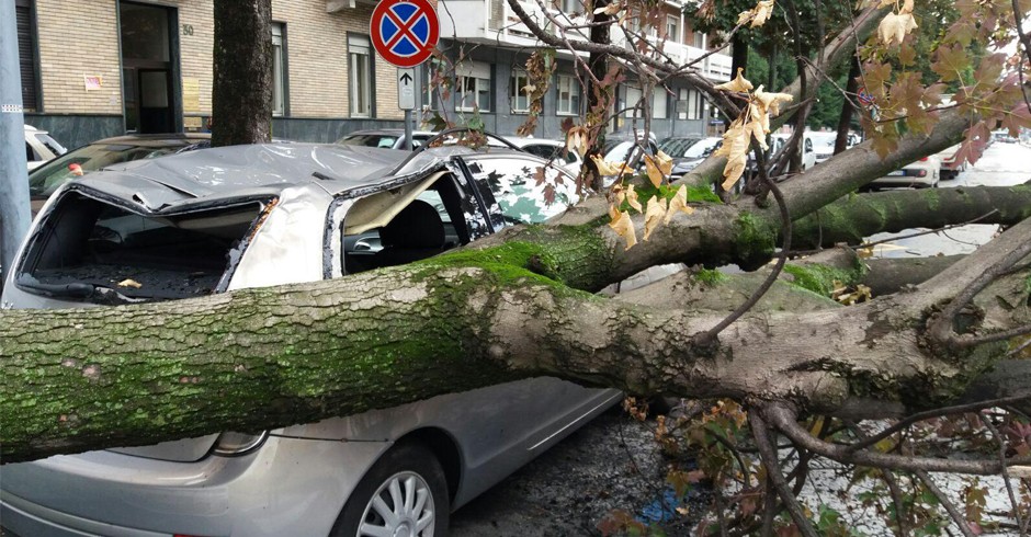 Un'auto schiacciata da un albero caduto a Torino